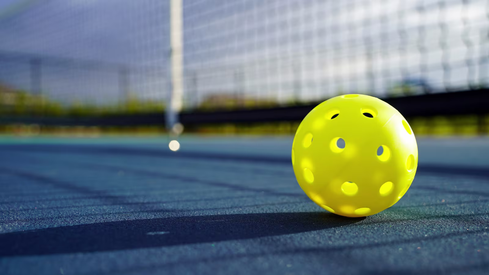 Pickleball Hero Background